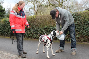 gallery/milow mantraling staffel