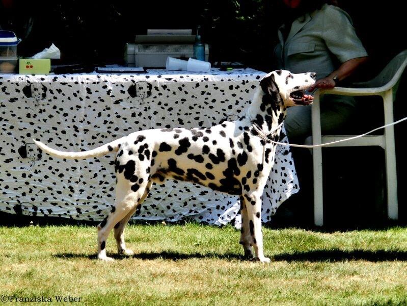 gallery/milow alpen 2013 standbild